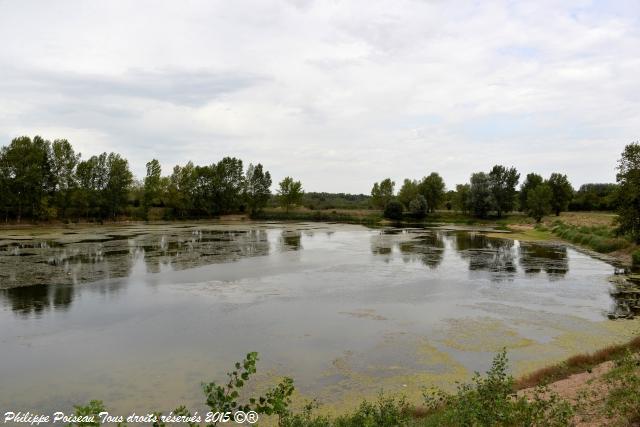Étang des Charmilles de Mesves sur Loire un beau patrimoine naturel
